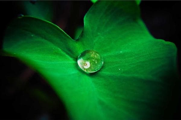 Existentialism and the Search for Meaning
