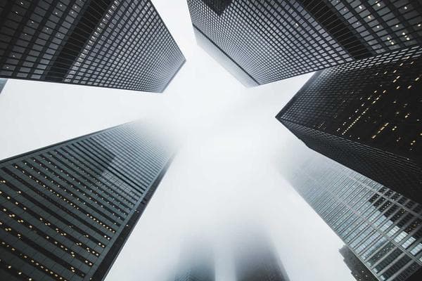 The Power of Habit: How We Form and Break Them